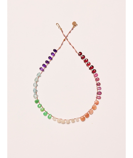 COLLIER RAINBOW AMAZONITE GRENAT SAPHIRS basket pas cher