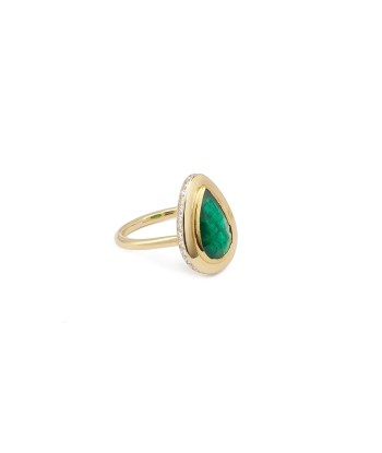 PEAR EMERALD DOG RING une grave pollution 